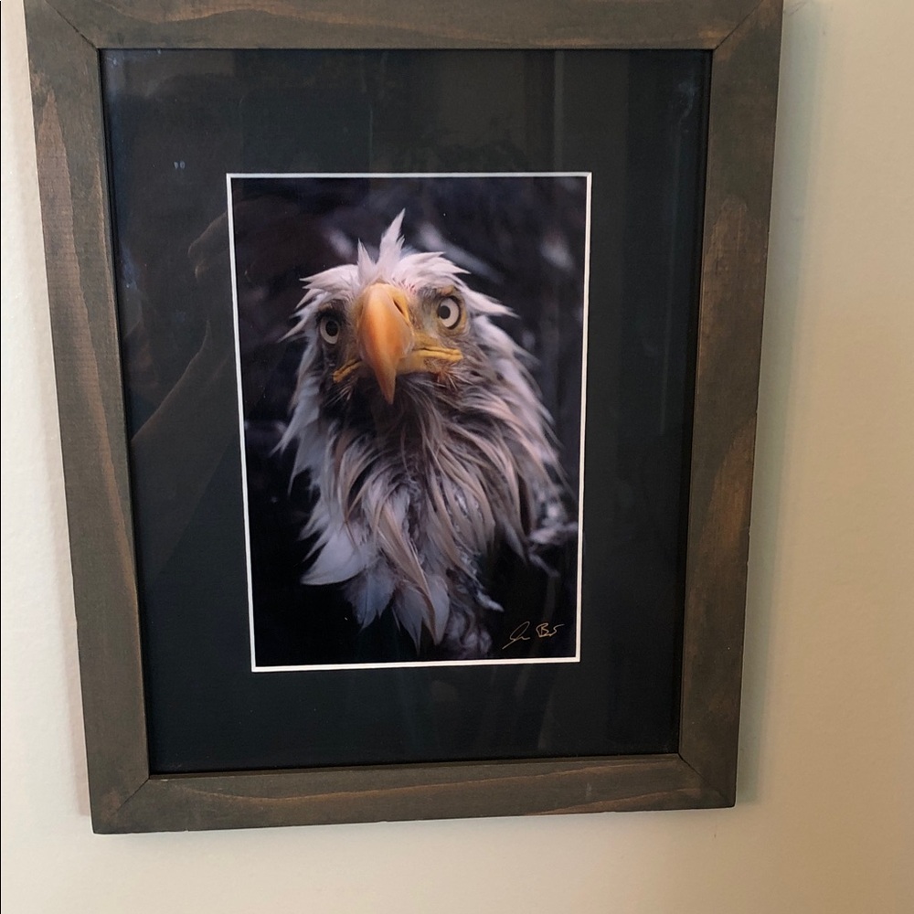 HAVING A BAD FEATHER DAY by Jason Leo Bantle Professionally matted & framed #806